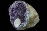 Purple Amethyst Geode - Uruguay #83697-2